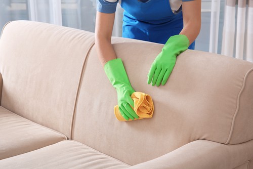 How Do Professionals Disinfect and Sanitize Home?