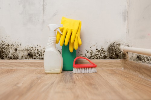 How To Clean Molds In Your Home?