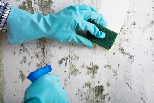 Importance of Post-Renovation Cleaning