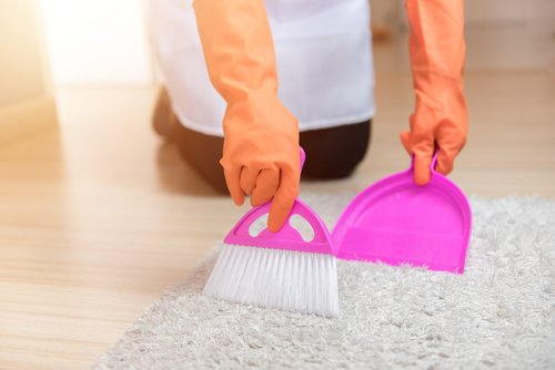 What does professional carpet and rug cleaning involve