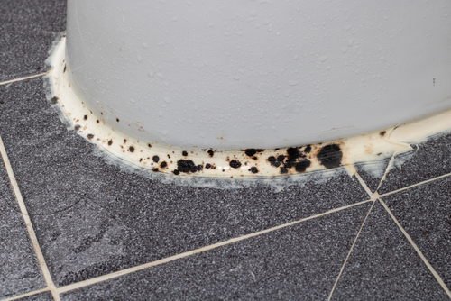 Identifying Common Mold Hotspots in Singapore Homes