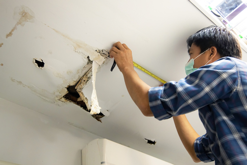 Taking Proactive Measures for Mold Prevention