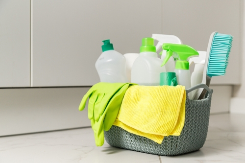 Going Green How to Make the Switch to Eco-Friendly Cleaning Products