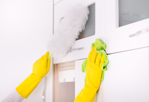 Identifying Cleaning Needs and Preferences